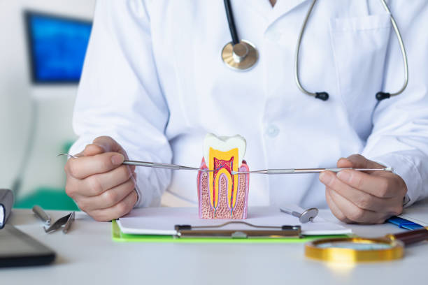 Best 24-Hour Emergency Dentist in Chandler, TX